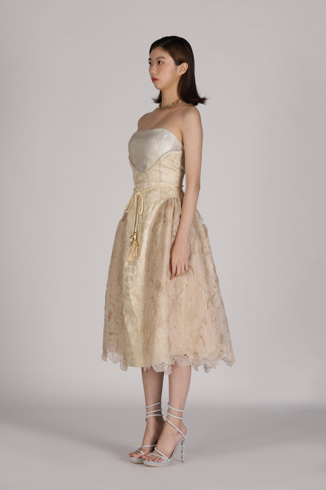 Belle Dress Main Image